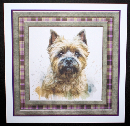 Cairn terrier card front 3 by Marion Kimberley-Scott