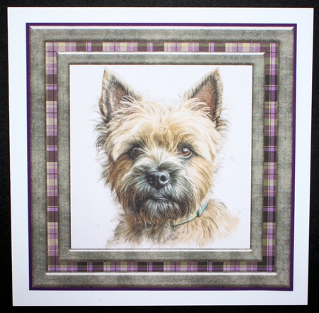 Cairn terrier card front 5 by Marion Kimberley-Scott