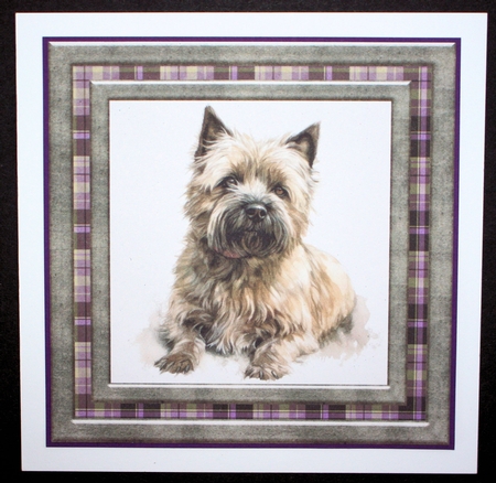Cairn terrier card front 6 by Marion Kimberley-Scott