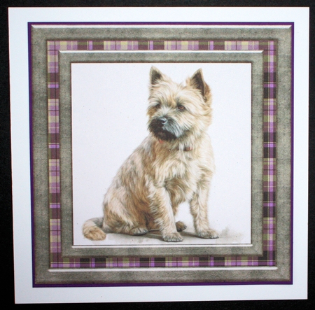 Cairn terrier card front 8 by Marion Kimberley-Scott