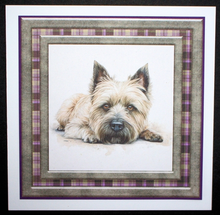 Cairn terrier card front 9 by Marion Kimberley-Scott
