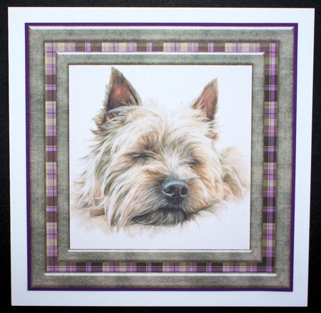 Cairn terrier card front 10 by Marion Kimberley-Scott
