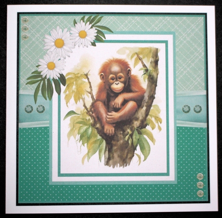 Baby Orangutan by Marion Kimberley-Scott