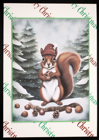 The Nut Collector A4 by Marion Kimberley-Scott