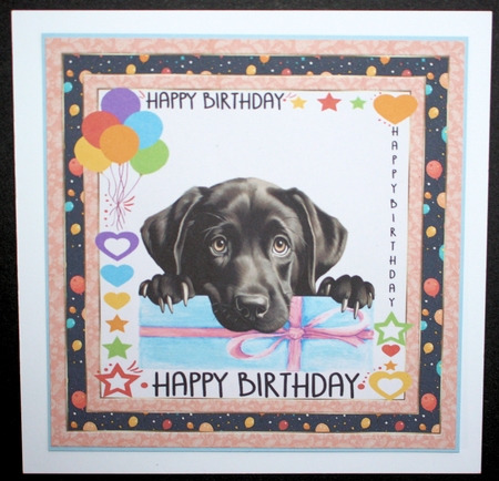 Pup Happy Birthday card front 12 by Marion Kimberley-Scott
