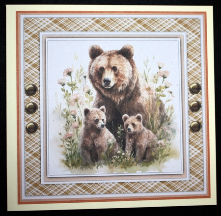 8x8 Mini Kit, Beautiful Bear Family  by Marion Kimberley-Scott