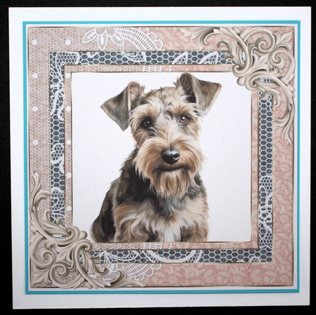 Wire haired Fox terrier card front 1 by Marion Kimberley-Scott