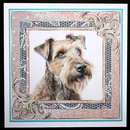 Wire haired Fox terrier card front 2 by Marion Kimberley-Scott