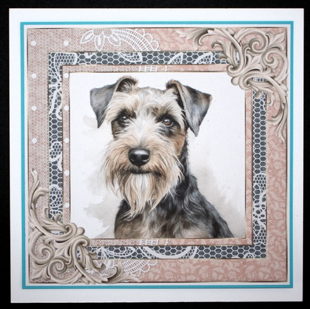 Wire haired Fox terrier card front 3 by Marion Kimberley-Scott