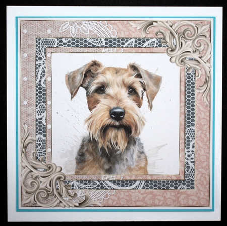 Wire haired Fox terrier card front 4 by Marion Kimberley-Scott