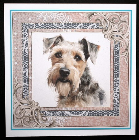 Wire haired Fox terrier card front 5 by Marion Kimberley-Scott