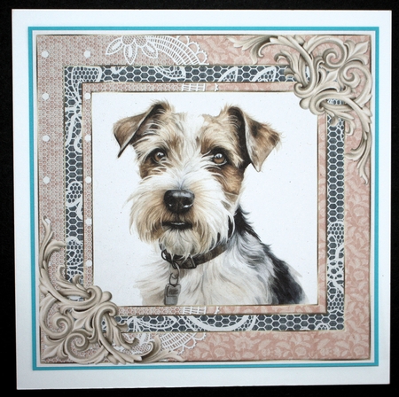 Wire haired Fox terrier card front 7 by Marion Kimberley-Scott