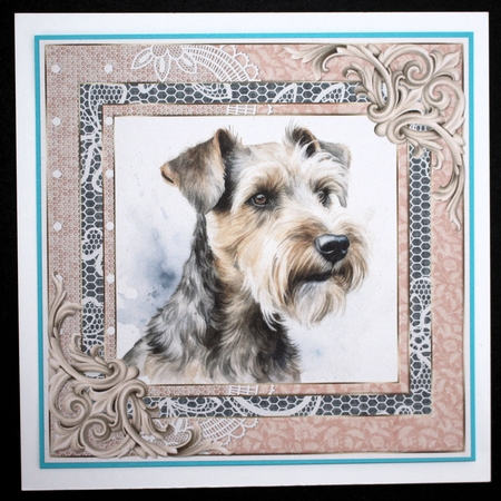 Wire haired Fox terrier card front 14 by Marion Kimberley-Scott
