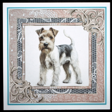 Wire haired Fox terrier card front 15 by Marion Kimberley-Scott