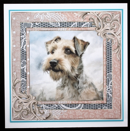Wire haired Fox terrier card front 17 by Marion Kimberley-Scott