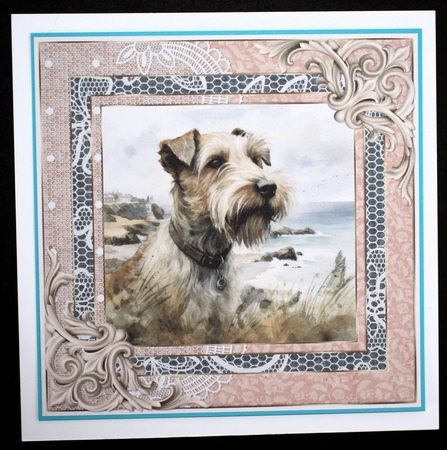 Wire haired Fox terrier card front 18 by Marion Kimberley-Scott
