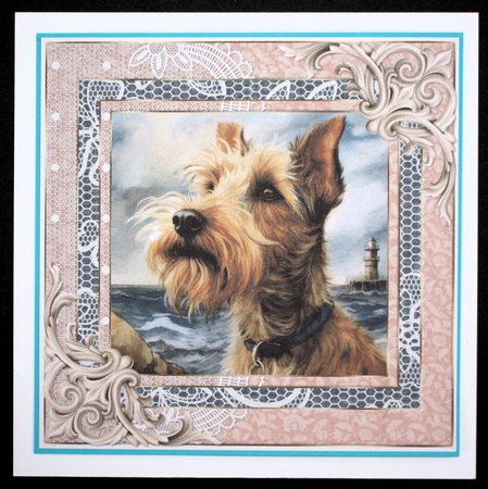 Wire haired Fox terrier card front 19 by Marion Kimberley-Scott