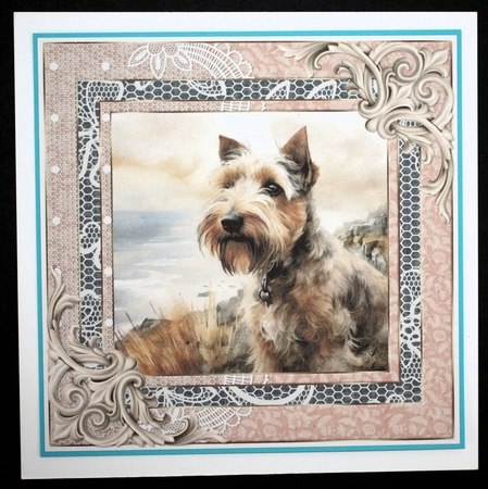 Wire haired Fox terrier card front 20 by Marion Kimberley-Scott