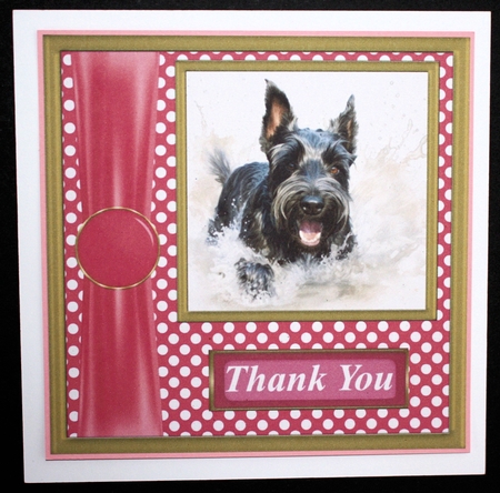 Its all about the splash Scottish terrier card front 2 by Marion Kimberley-Scott