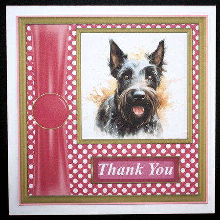 Its all about the splash Scottish terrier card front 3 by Marion Kimberley-Scott