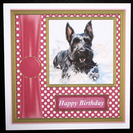 Its all about the splash Scottish terrier card front 4 by Marion Kimberley-Scott