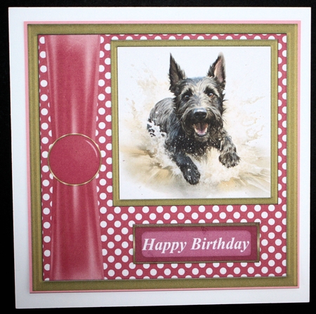 Its all about the splash Scottish terrier card front 7 by Marion Kimberley-Scott
