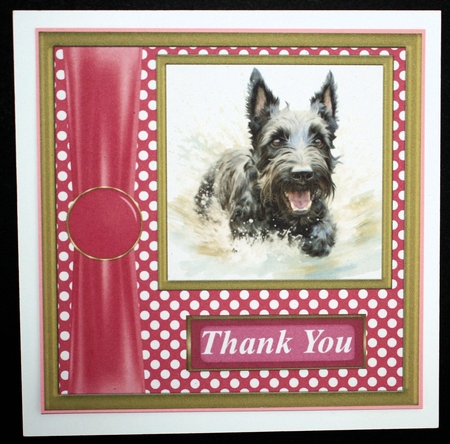 Its all about the splash Scottish terrier card front 11 by Marion Kimberley-Scott