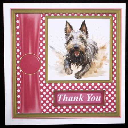 Its all about the splash Scottish terrier card front 12 by Marion Kimberley-Scott