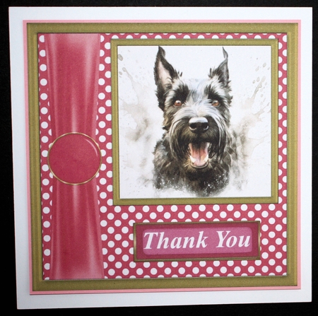 Its all about the splash Scottish terrier card front 13 by Marion Kimberley-Scott