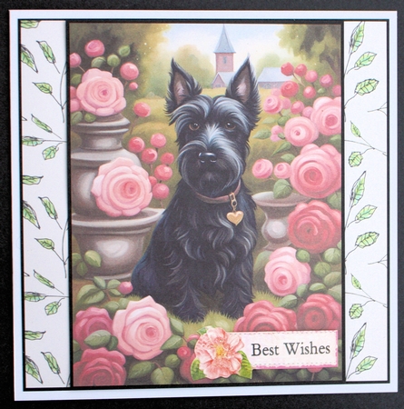 Scottie Dog in the Garden A4 by Marion Kimberley-Scott