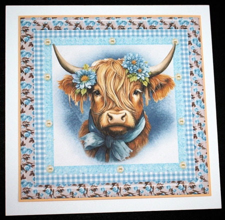 Blue floral Highland cow card front by Marion Kimberley-Scott