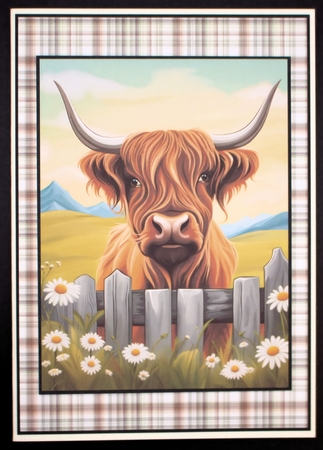 Highland Cow A4 by Marion Kimberley-Scott