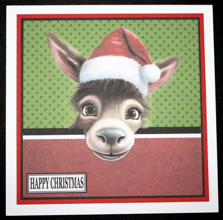 CHRISTMAS PEEKING DONKEY by Marion Kimberley-Scott