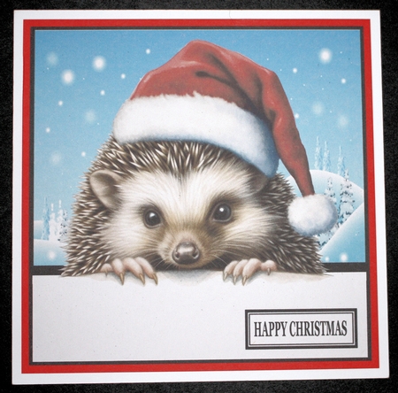 CHRISTMAS PEEKING HEDGEHOG by Marion Kimberley-Scott