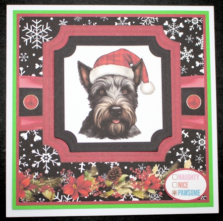 Hairy Christmas card front 22 by Marion Kimberley-Scott