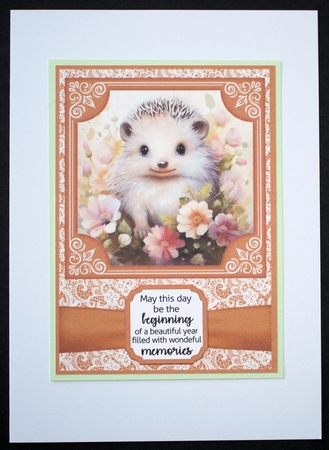 5x7 and 6x6 aprox Orange hedgehog card fronts by Marion Kimberley-Scott