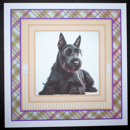 Peach 5x7 and 6x6 aprox Scottish terrier card fronts 1 by Marion Kimberley-Scott