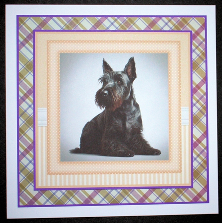Peach 5x7 and 6x6 aprox Scottish terrier card fronts 3 by Marion Kimberley-Scott