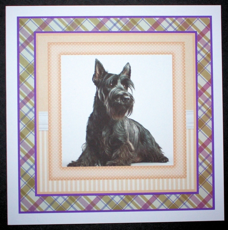 Peach 5x7 and 6x6 aprox Scottish terrier card fronts 4 by Marion Kimberley-Scott