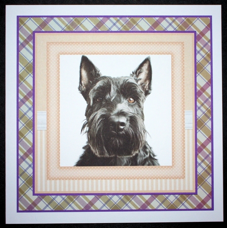 Peach 5x7 and 6x6 aprox Scottish terrier card fronts 5 by Marion Kimberley-Scott