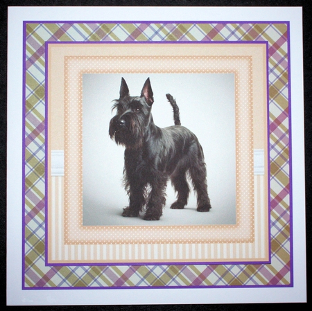 Peach 5x7 and 6x6 aprox Scottish terrier card fronts 6 by Marion Kimberley-Scott