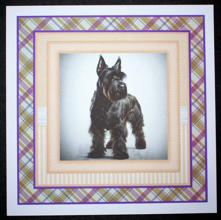 Peach 5x7 and 6x6 aprox Scottish terrier card fronts 7 by Marion Kimberley-Scott