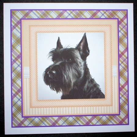 Peach 5x7 and 6x6 aprox Scottish terrier card fronts 9 by Marion Kimberley-Scott