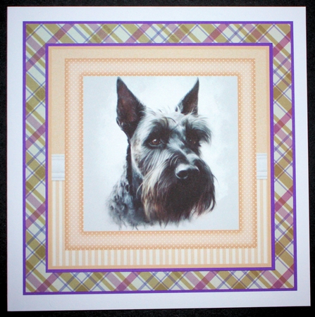 Peach 5x7 and 6x6 aprox Scottish terrier card fronts 10 by Marion Kimberley-Scott