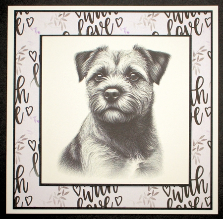 Border Terrier Pencil Sketch by Marion Kimberley-Scott