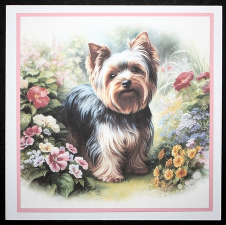 Summer Garden Dog 3 by Marion Kimberley-Scott