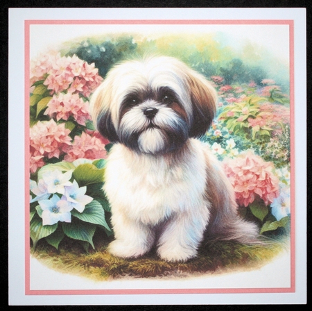 Summer Garden Dog 4 by Marion Kimberley-Scott