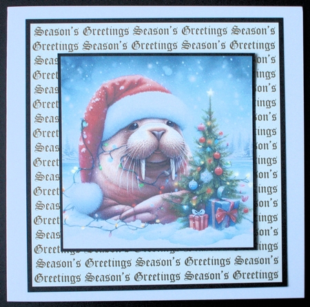 Festive Walrus by Marion Kimberley-Scott
