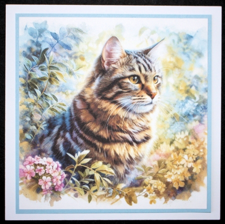 Summer Gardens Cats by Marion Kimberley-Scott