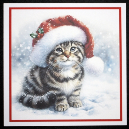 Santa Hat Cat 1 by Marion Kimberley-Scott